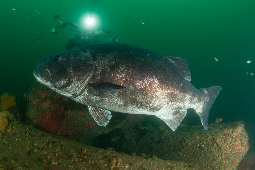 59e52079-4ca1-4295-b504-af6b07def97a