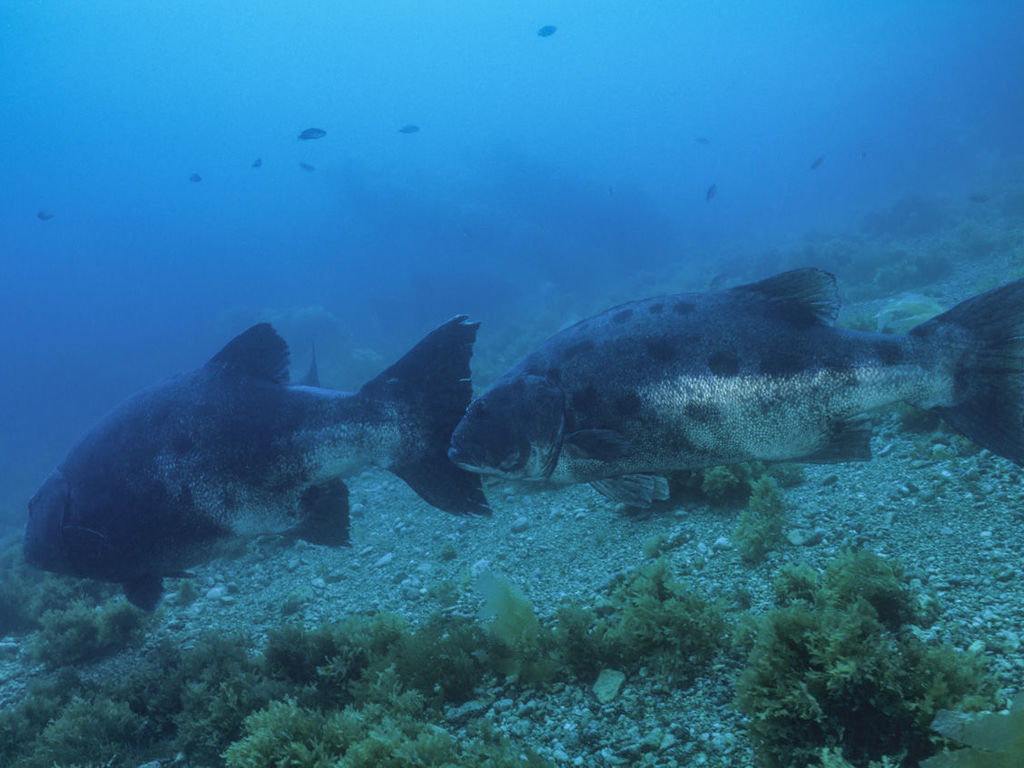 371880cd-207d-4dc9-a9f0-ccf7cad35f27