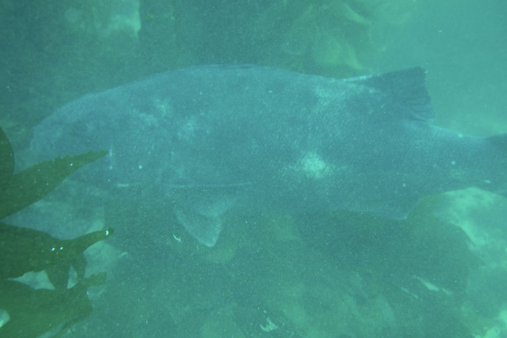 14912beb-2a17-4f87-bde6-bfd51f44d604