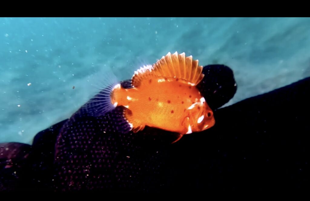 b27de2b9-b67e-42f6-a7ee-d90236108723