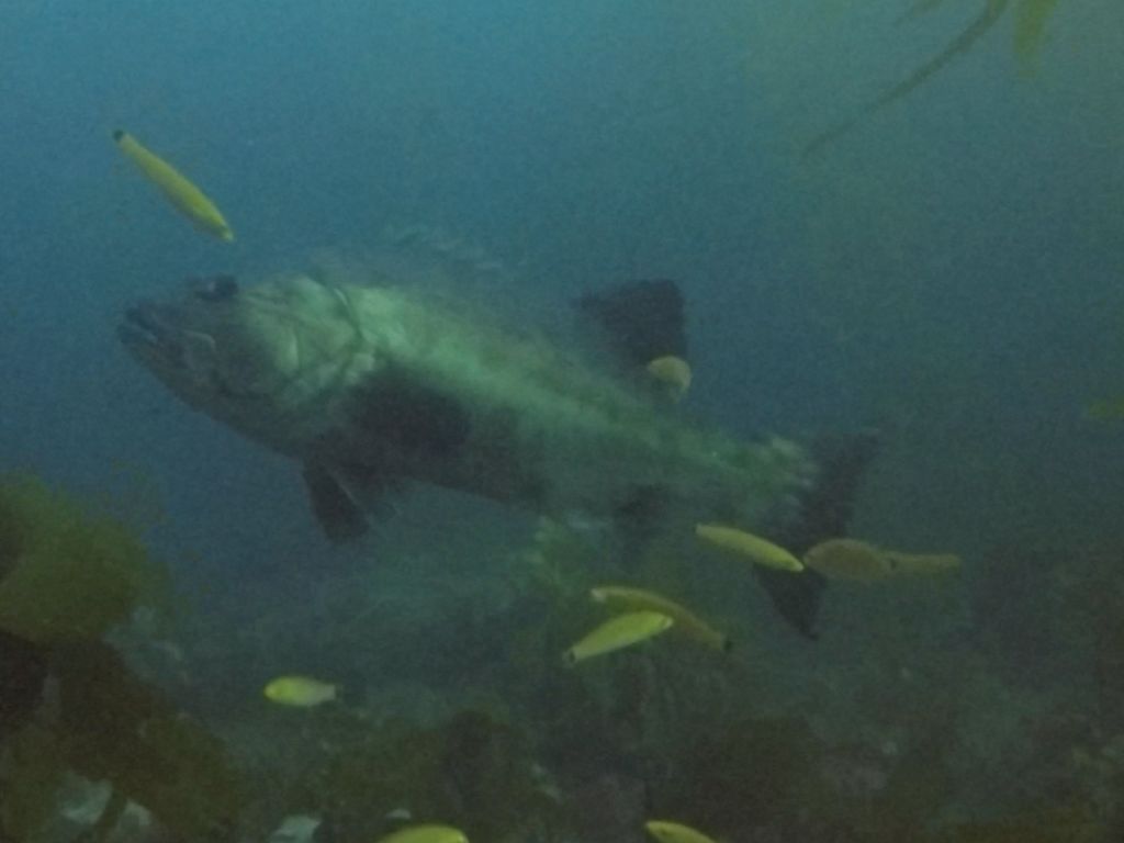 337a2fc1-ac91-4bae-8b24-3fff200b2a00