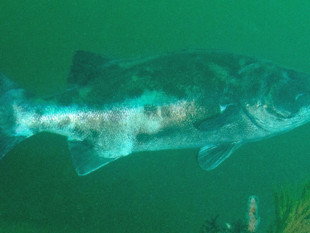 9d9c1a93-d83f-4812-a2c2-49dfc3fc846a