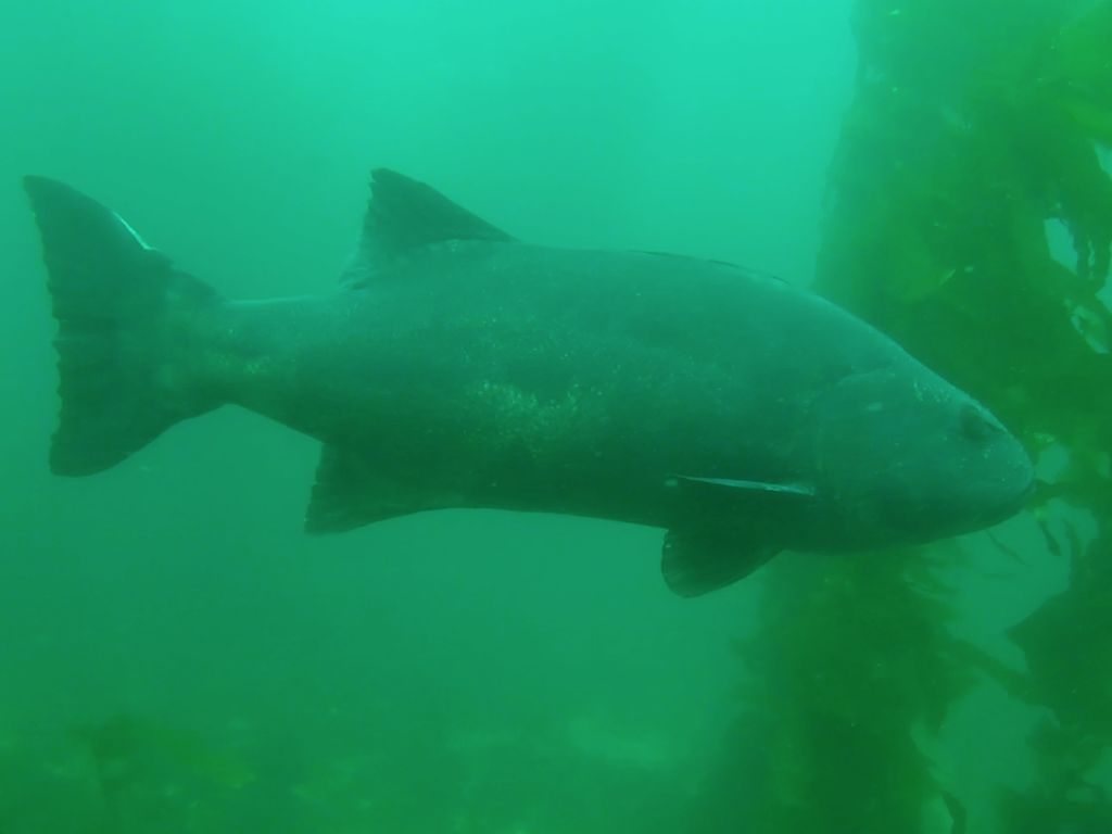 c0302867-6897-445a-8596-cfe5f9223cfd