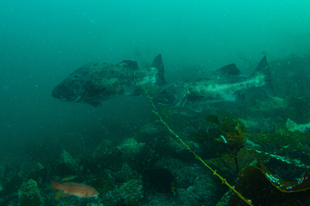 fbbf0750-4f91-497b-a6d4-955ddef31fa1