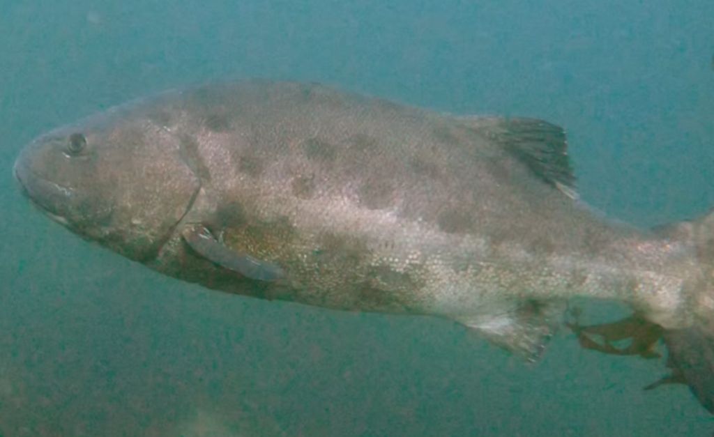 9ab95417-edec-4d3a-8268-a24789949d47