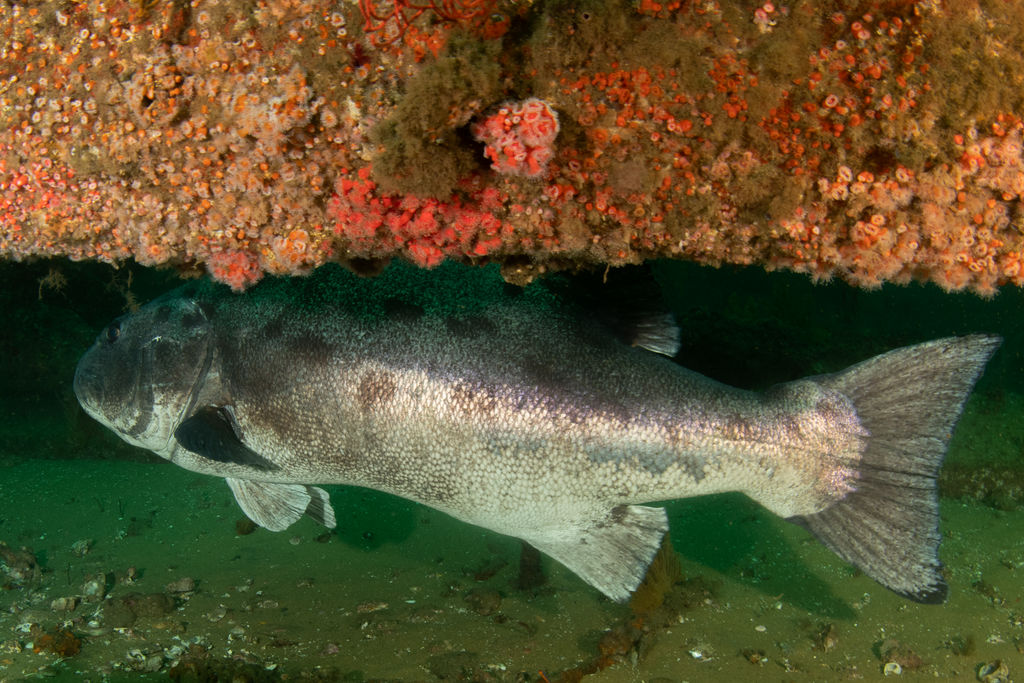 83a49973-3c71-474b-8216-78f992f5d369