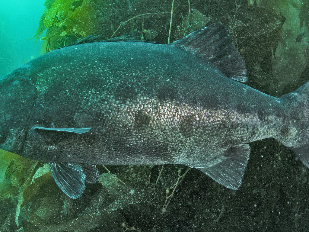 458fc7e2-95f3-4d9a-a9e6-cf2b49412684