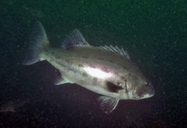 f5095a47-060f-4df1-970e-6cf443477136