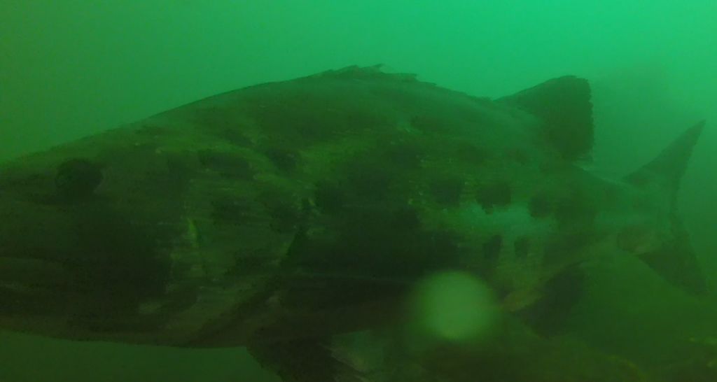 3067e7f2-9ba7-454a-a7bb-283cfd1ebcbe