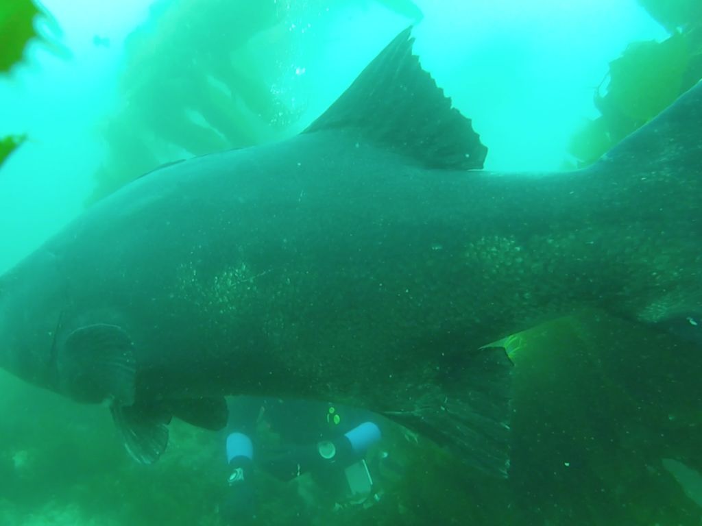 c0302867-6897-445a-8596-cfe5f9223cfd