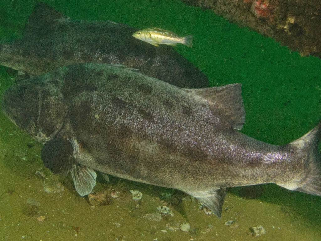 915a045c-ddc6-4a7e-930e-00de79efccab