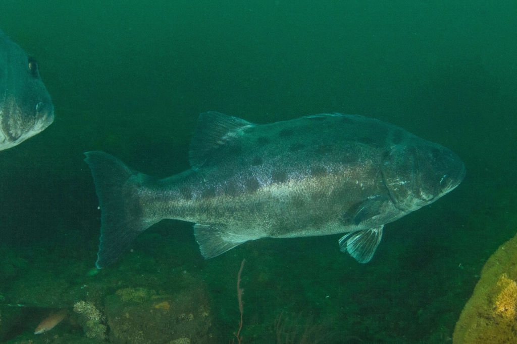 d5898b7b-32c9-45cc-9a3c-35ae469ea2b9