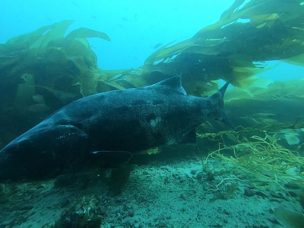 47b2d3f9-7eb8-4f8d-ba88-b6a78fbe2190