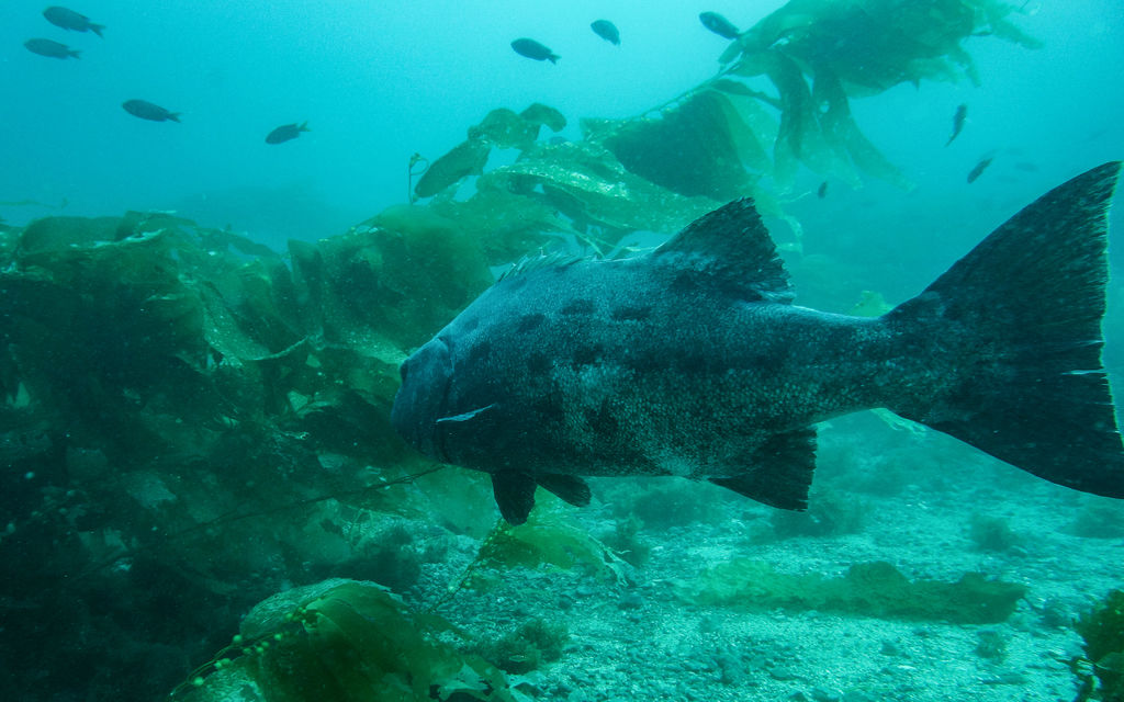 5c2eb24f-7cb0-47cf-816f-c62fbfd86c45