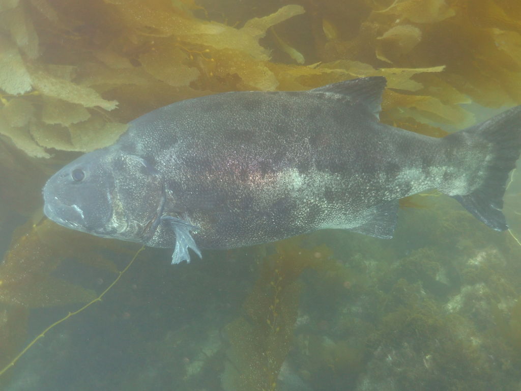 6d407a8e-440b-4840-927a-937f67f7b742