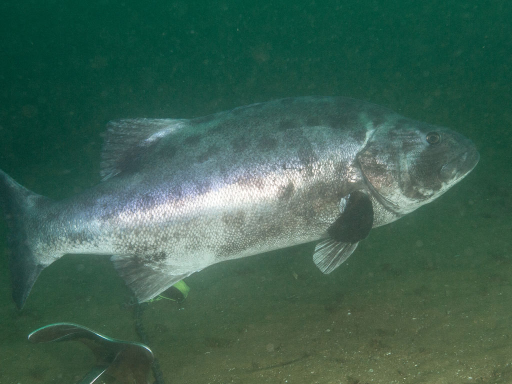 09fd514d-44aa-440b-98e5-a9ce4c9c07cd