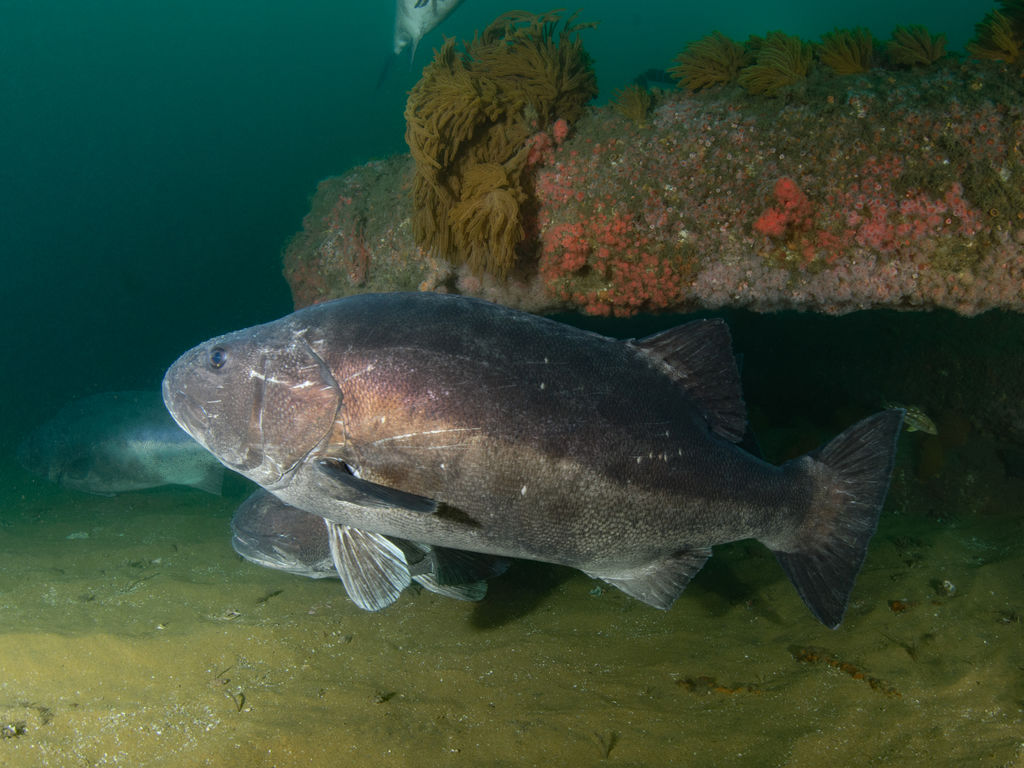 935dfb94-d35b-4d52-87ab-5f13b6f4997f