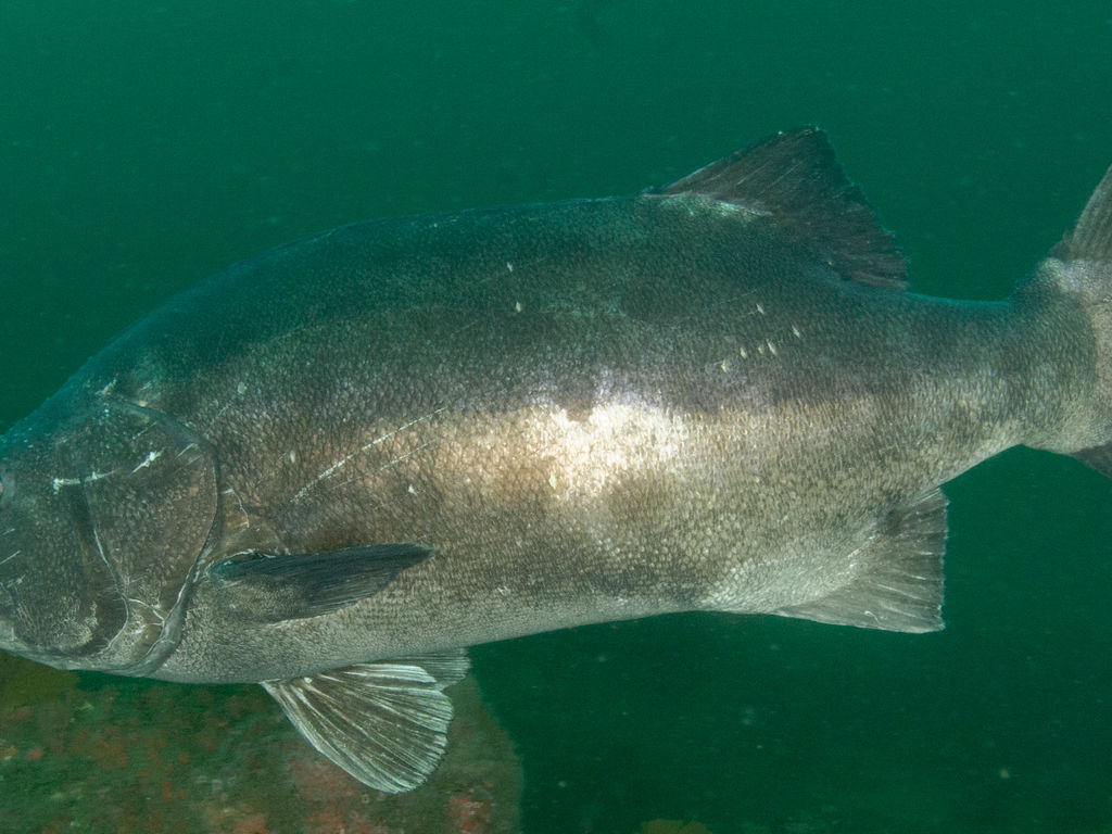 935dfb94-d35b-4d52-87ab-5f13b6f4997f