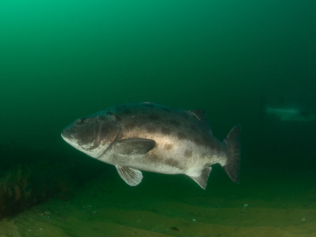 6d6b0a36-cff4-4ea7-ae21-bc78af9380b2