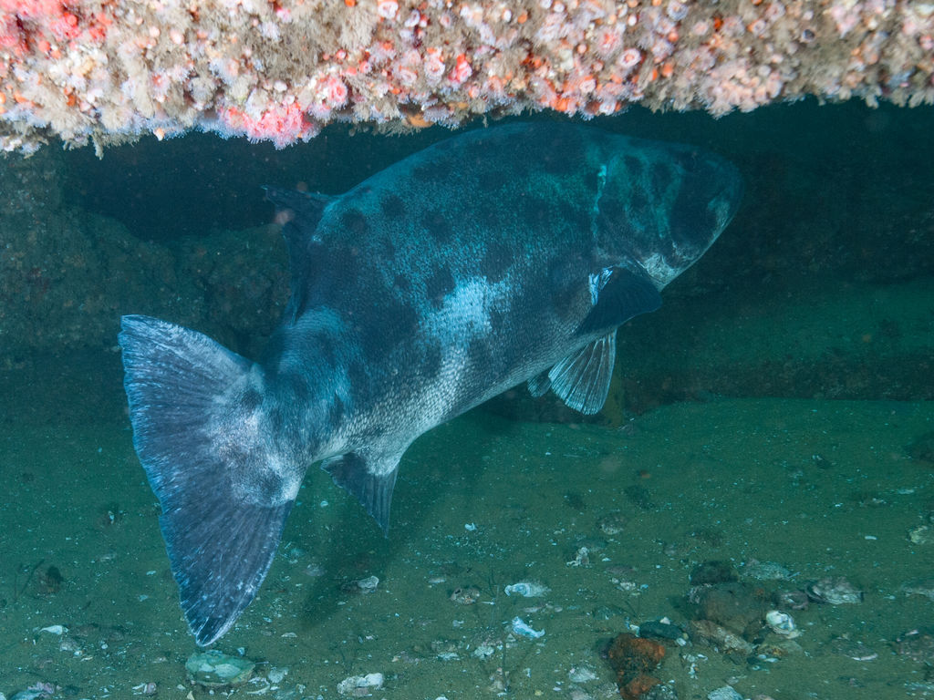 d7f9d87d-4d91-43af-97af-2b4abc87ff24