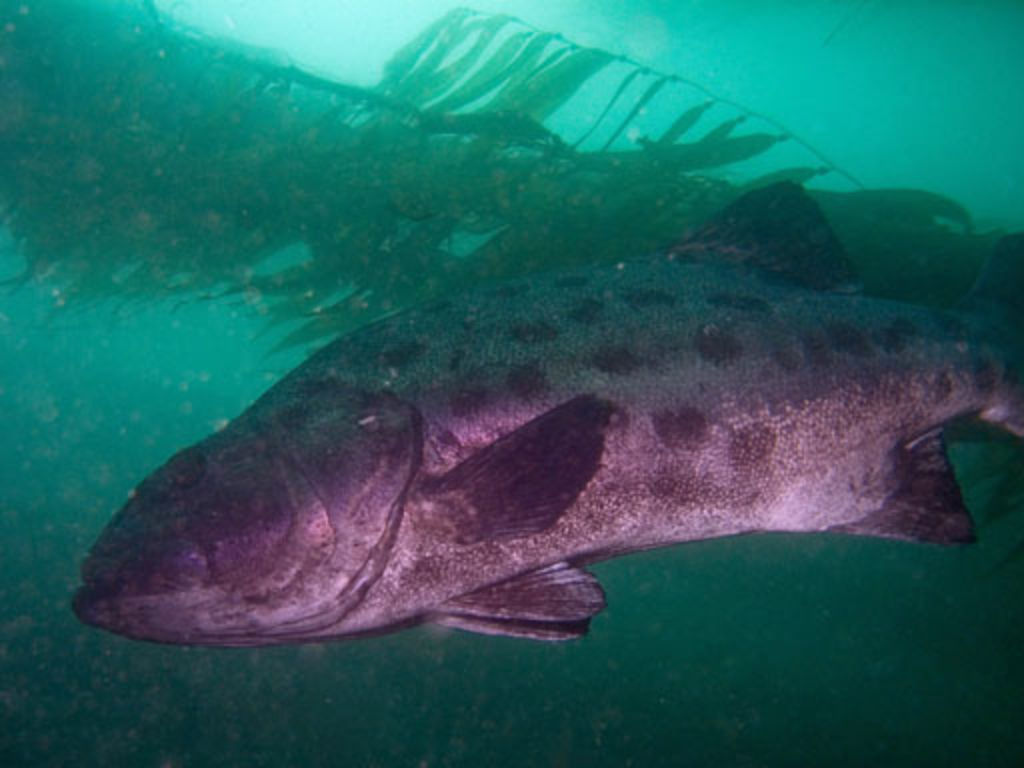 1e5f9ecd-df2e-4ffd-ac20-96339e023a72