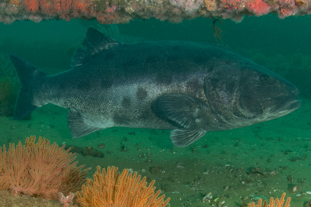 5a98d53d-47a3-47a0-a4ba-f080496f6d53