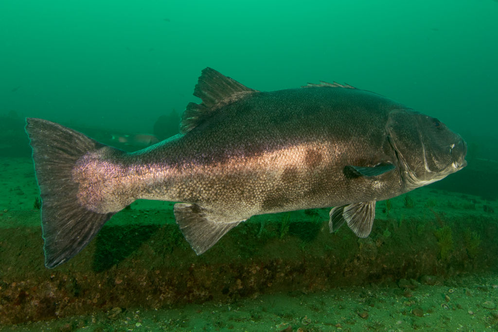 5a98d53d-47a3-47a0-a4ba-f080496f6d53