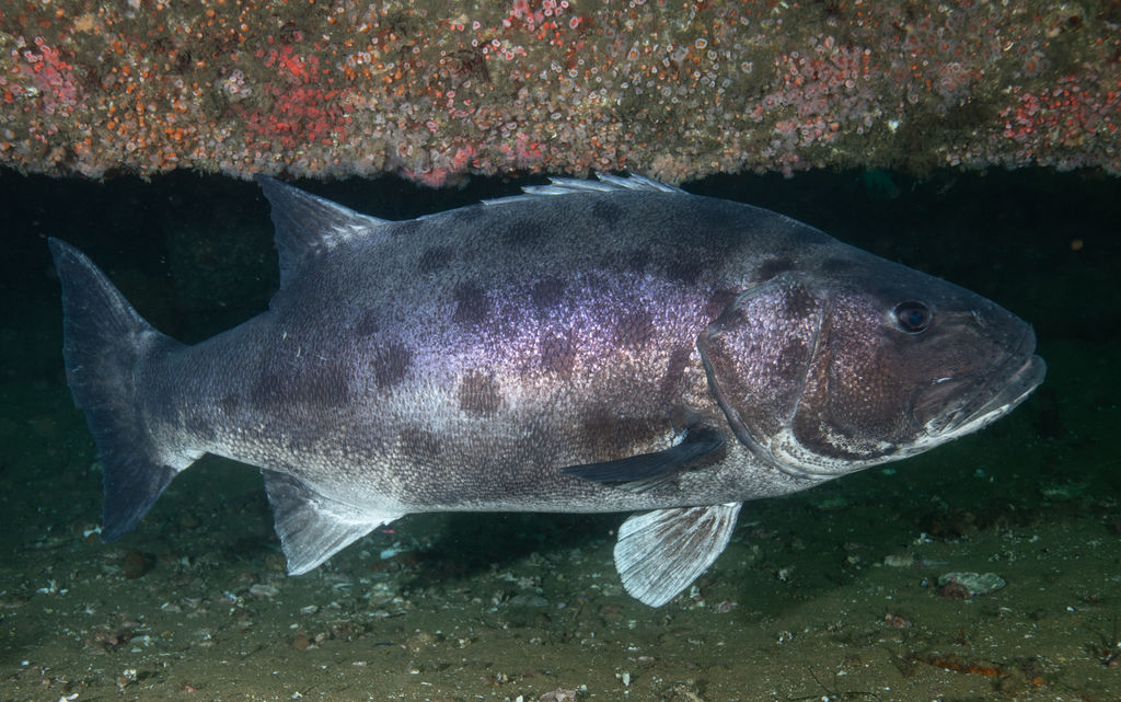 c43a18a3-602d-4937-941c-7073e17c77d2