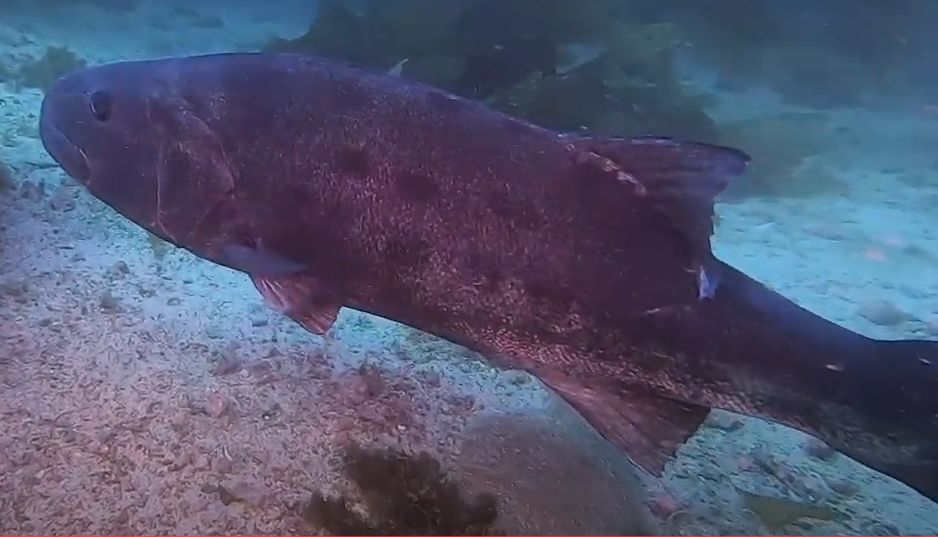 c9d79939-d13f-4c52-9227-c17218ead13f