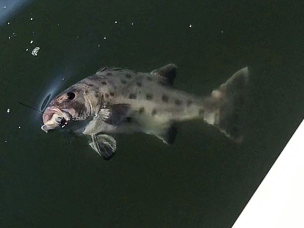 cacfca29-1ba1-4827-89c5-f90186988f4f