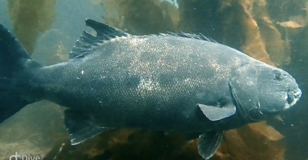 f5205dd8-7230-49e3-bd6c-2339fb4f7924