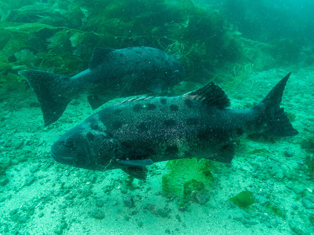 0b5ff417-4fa2-47c4-9732-91685106963d