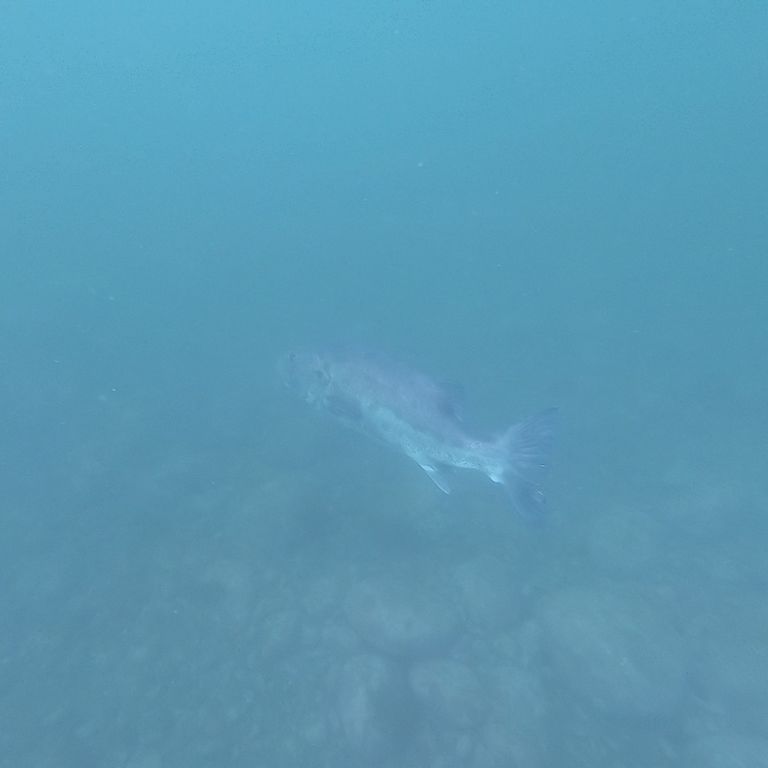 f61e8ea9-2826-44f2-84b7-240475477430