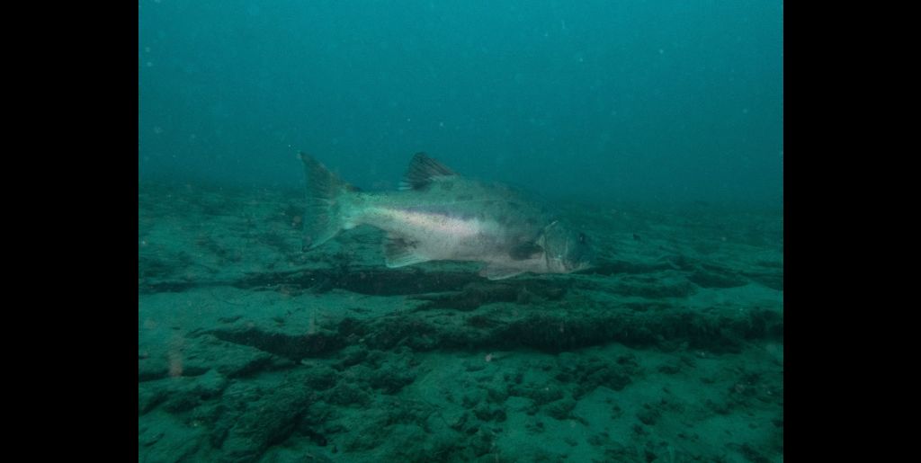 606e6a39-b852-4292-b334-0ec4c7738e5c