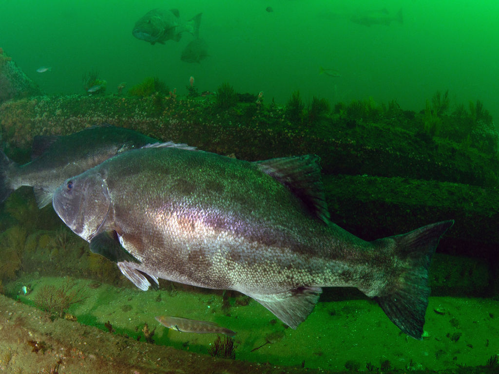 9590f0fd-0ae4-49d7-8b29-01cc14f72301