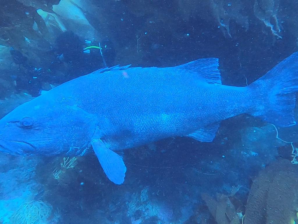 3bb923b8-da0d-46a5-b2c5-decb6210027b