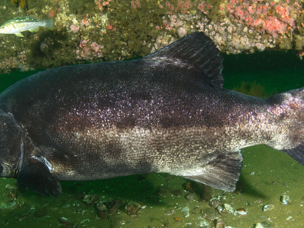 cd6dcb7f-f207-47a0-a2b1-72cc74a8a495