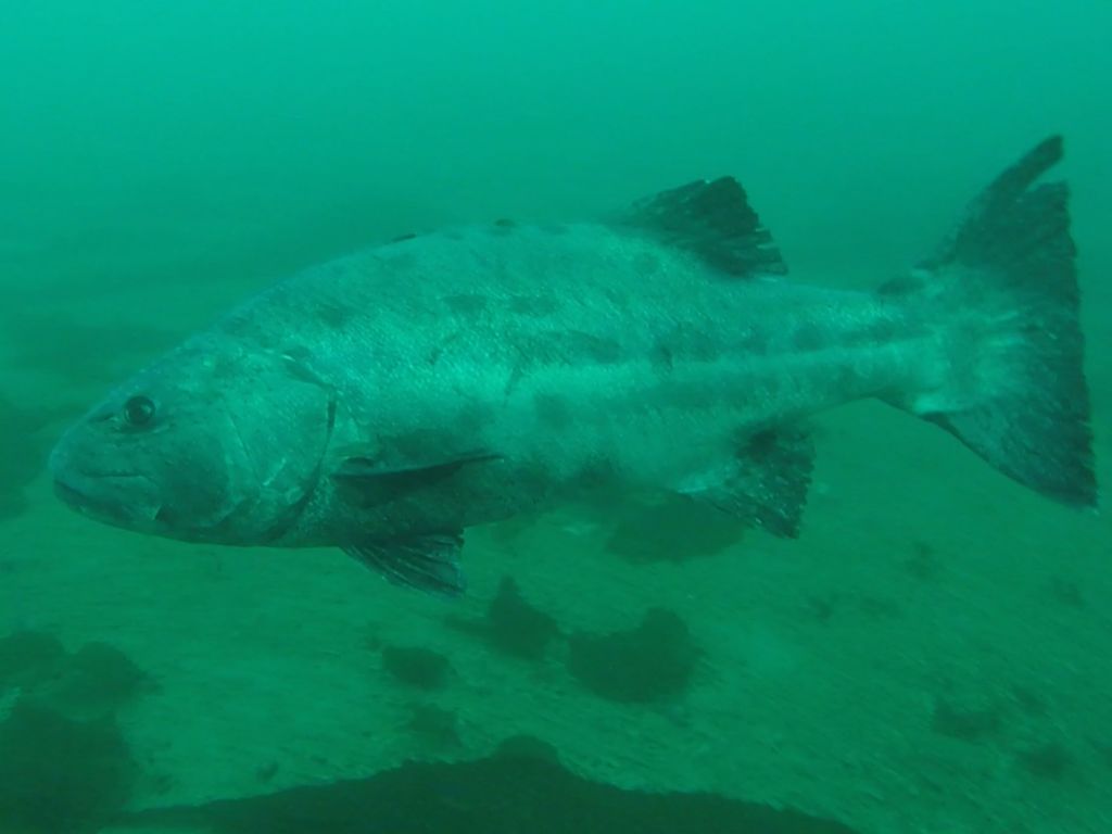 512e343e-7fc5-4912-a3b6-6533d97e3593