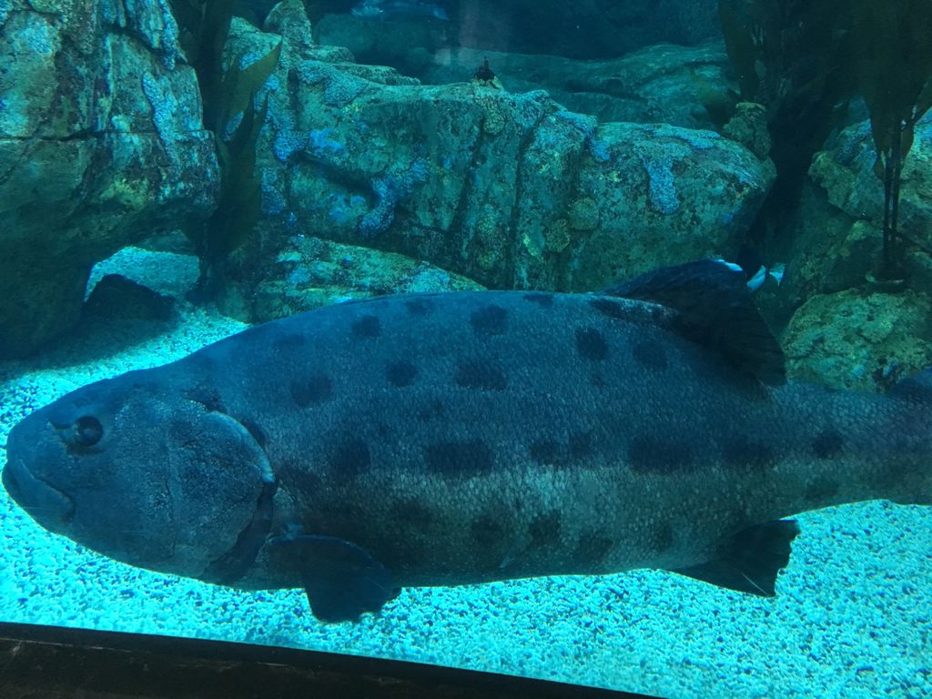 2f108471-2a01-4808-a015-bacbe5ad035b