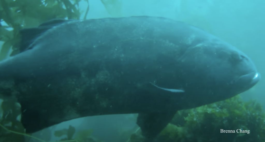 5c7a418b-2b3f-4c38-8bae-e0ca5f9270a3