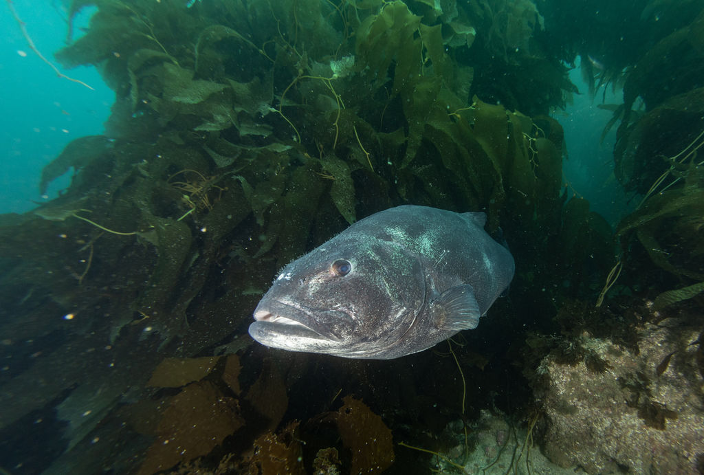 1fcd4087-e84f-4b3a-949c-f5daea0160c3