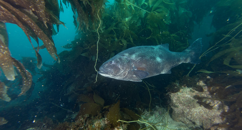 1fcd4087-e84f-4b3a-949c-f5daea0160c3