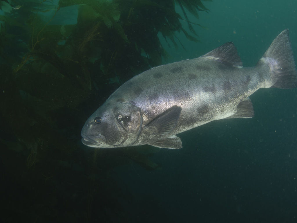 abcda485-31ed-4a7f-9c68-0d01ce74a6bd