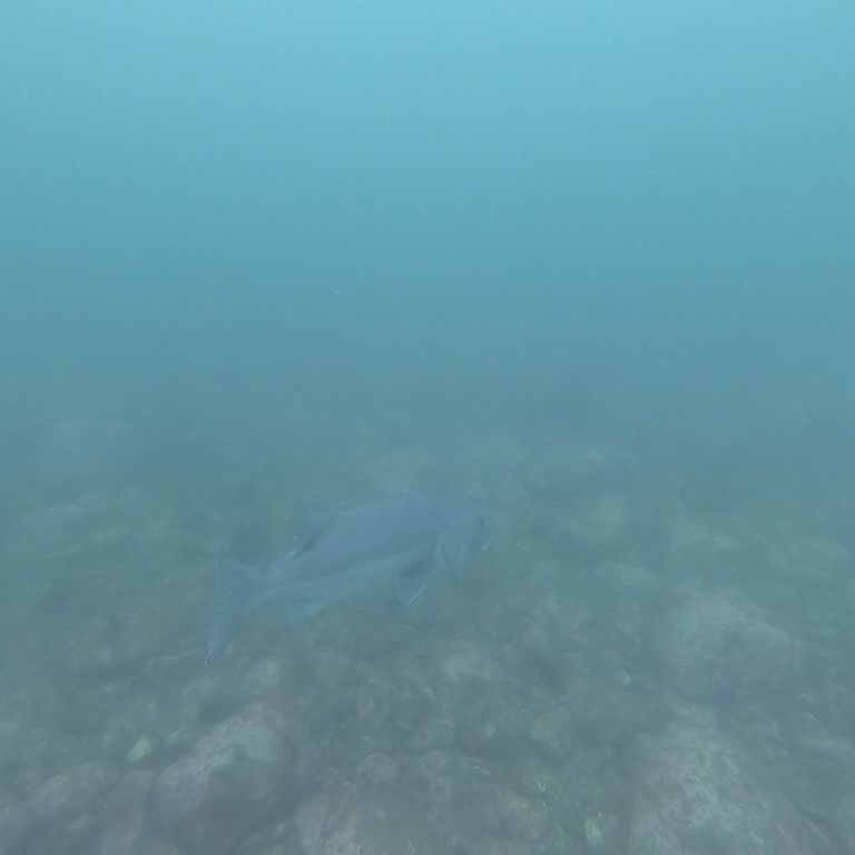 6a46a9bf-90c3-4da7-8846-ae353627b2f5