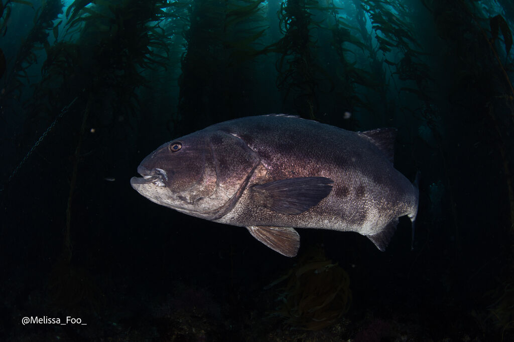 4031a8fb-1ec4-40db-bee8-61c13d4edbcd