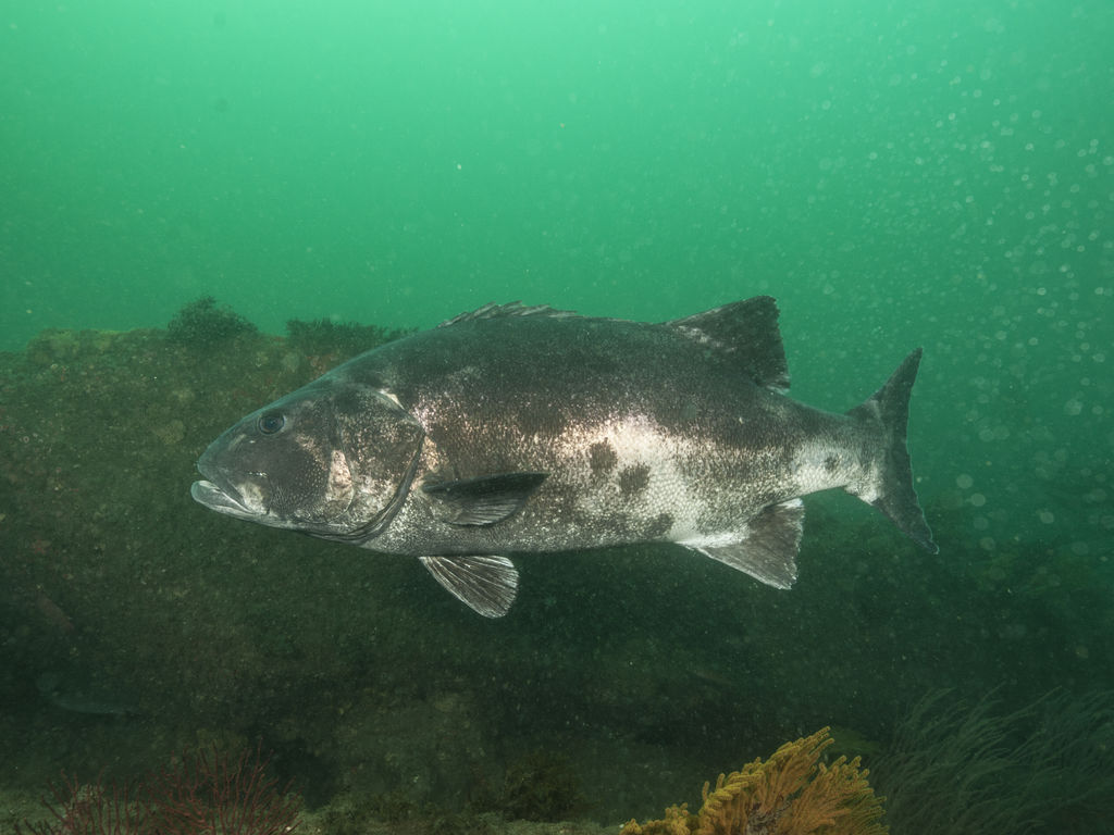 659ce3f6-63cb-4a27-bf3f-6d3467e8edb7