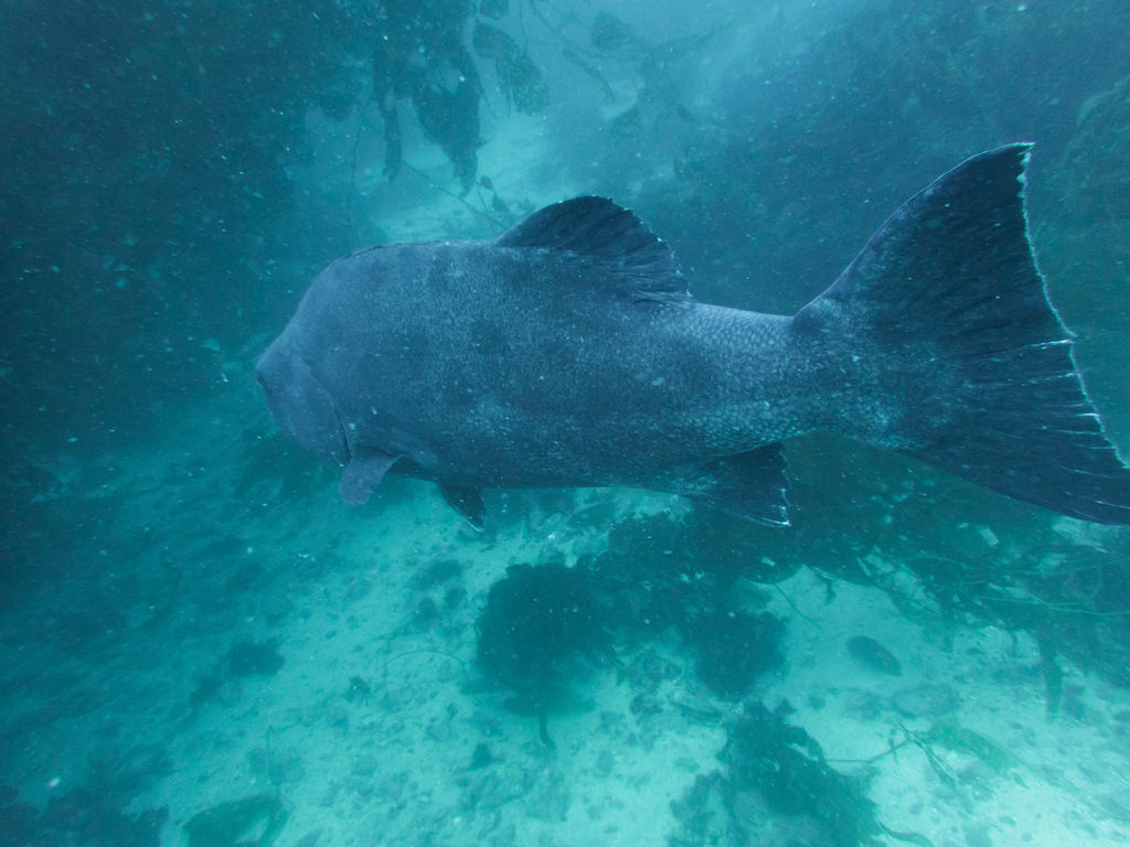 d02ebba6-2968-4747-b6f3-eeb390b8483a