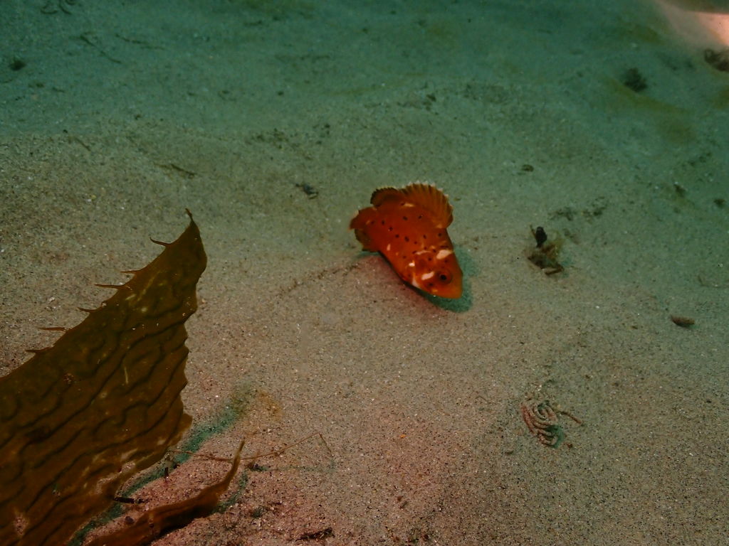 4aab3286-de4e-4b2a-8c86-a2cee942c2ee