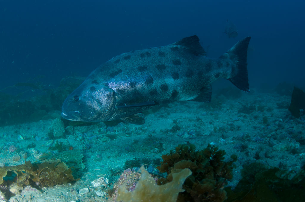 f34941be-9e61-4f43-a147-ce23336c8267