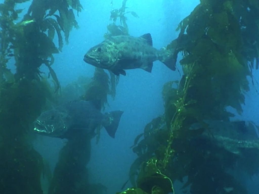 48a54be2-c15f-475d-9077-0db6565b7d09